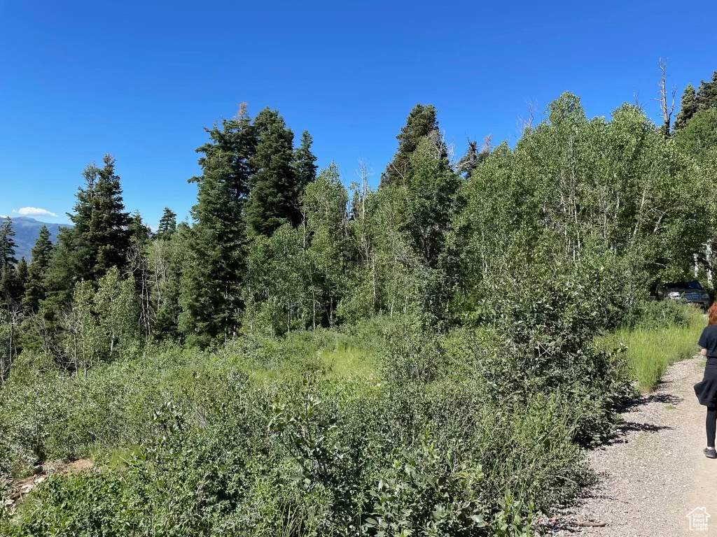 56 K Quaking Pine Cir - Photo 1