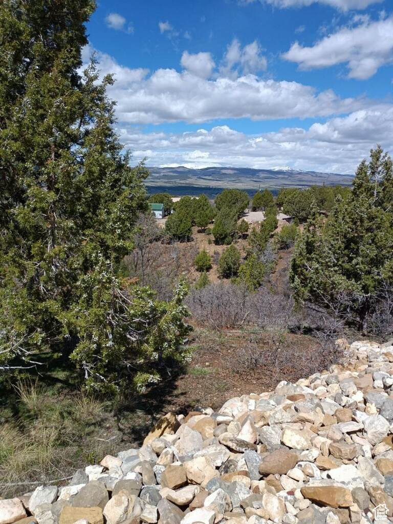12665 Cedar Ridge Dr - Photo 1