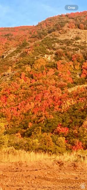 https://bt-photos.global.ssl.fastly.net/wasatch/orig_boomver_1_2065029-1.jpg