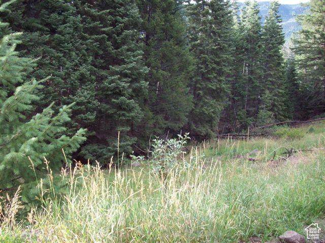https://bt-photos.global.ssl.fastly.net/wasatch/orig_boomver_1_2070006-1.jpg