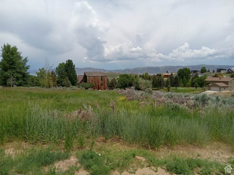 https://bt-photos.global.ssl.fastly.net/wasatch/orig_boomver_1_2072646-1.jpg