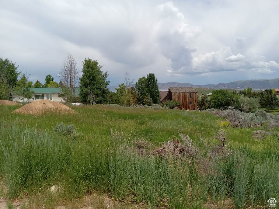 https://bt-photos.global.ssl.fastly.net/wasatch/orig_boomver_1_2072646-1.jpg