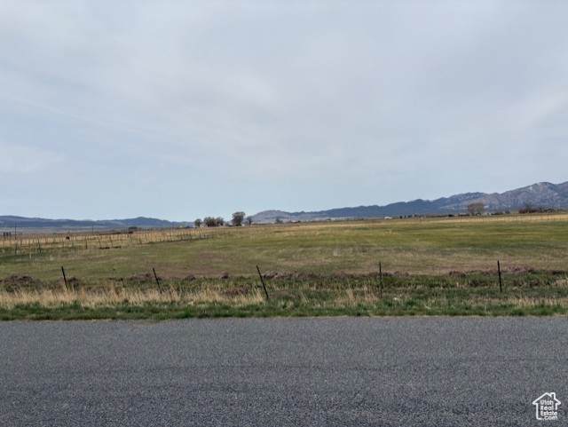 650 225 - Photo 1