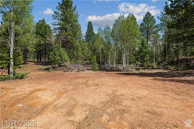 937 Black Rock Cir - Photo 1