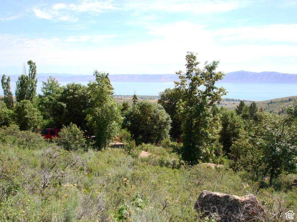 1041 Lakeview Dr - Photo 1