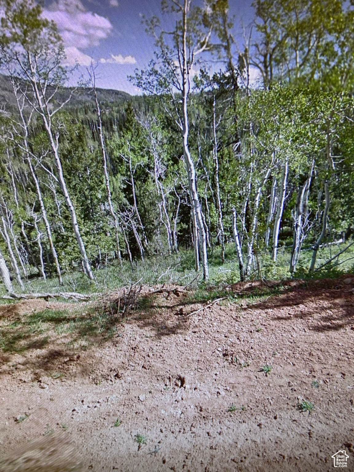 524 Ski Dr - Photo 1