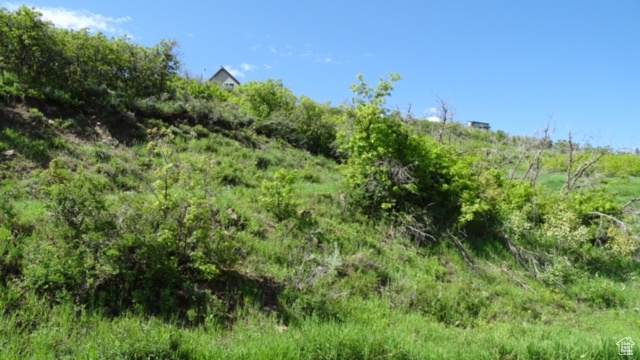 1775 Beaver Bench Rd - Photo 1