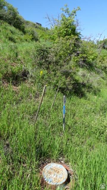https://bt-photos.global.ssl.fastly.net/wasatch/orig_boomver_1_2083208-1.jpg