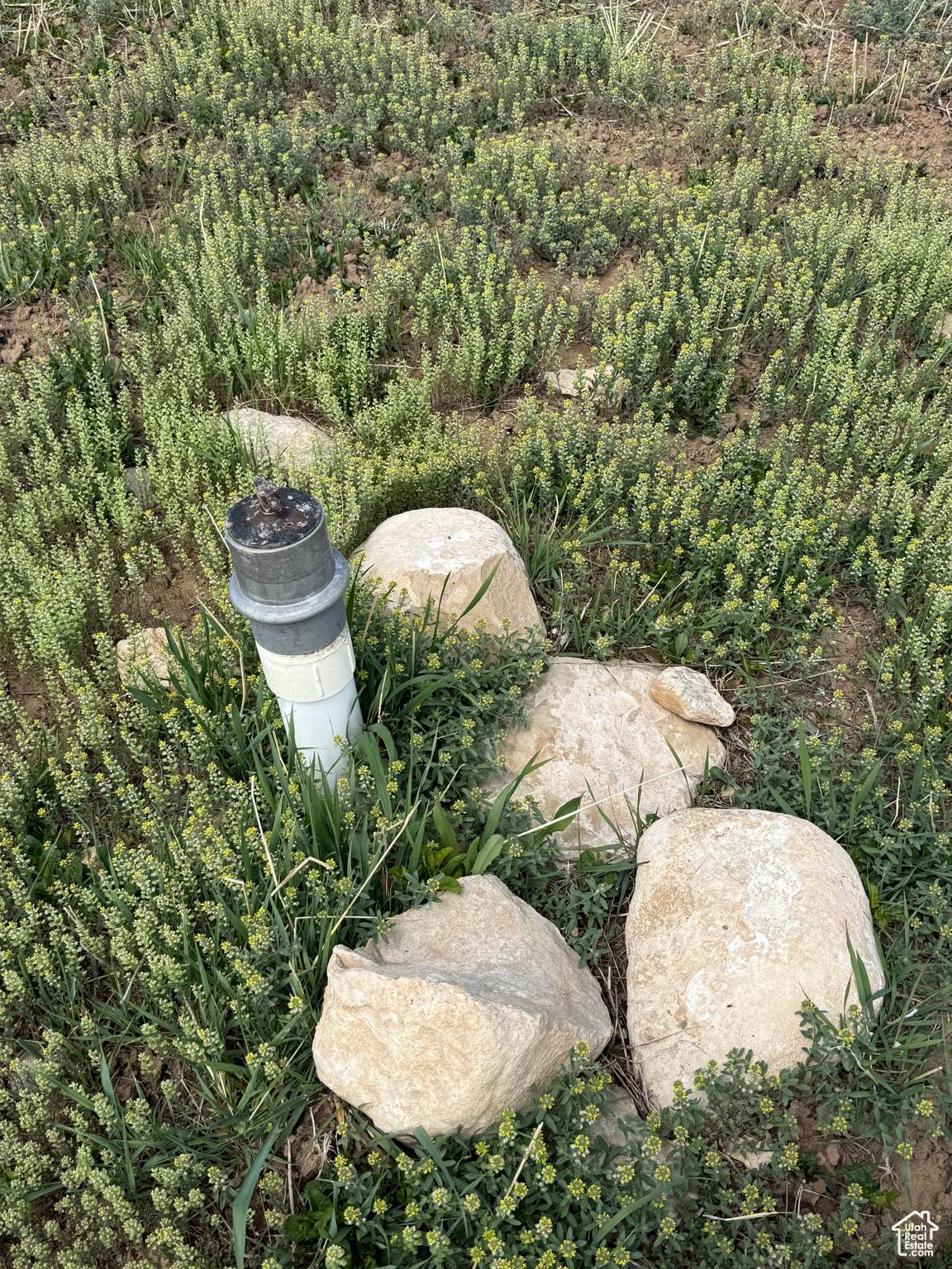 Address Not Published - Photo 1