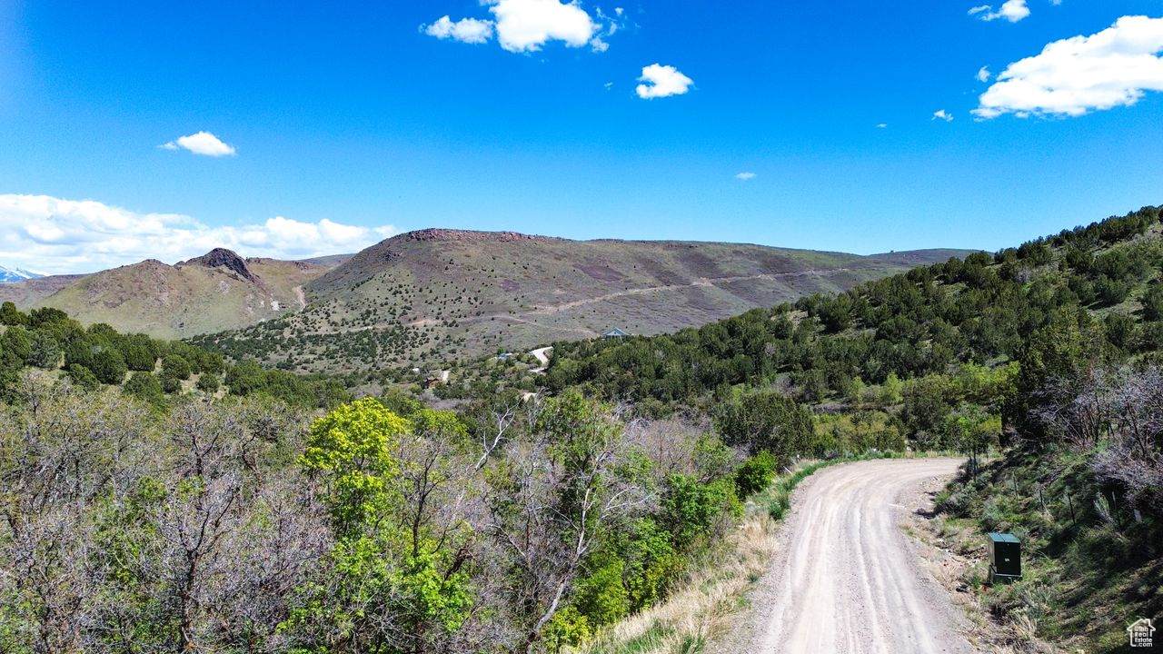 15201 Shaggy Mountain Road Rd - Photo 1