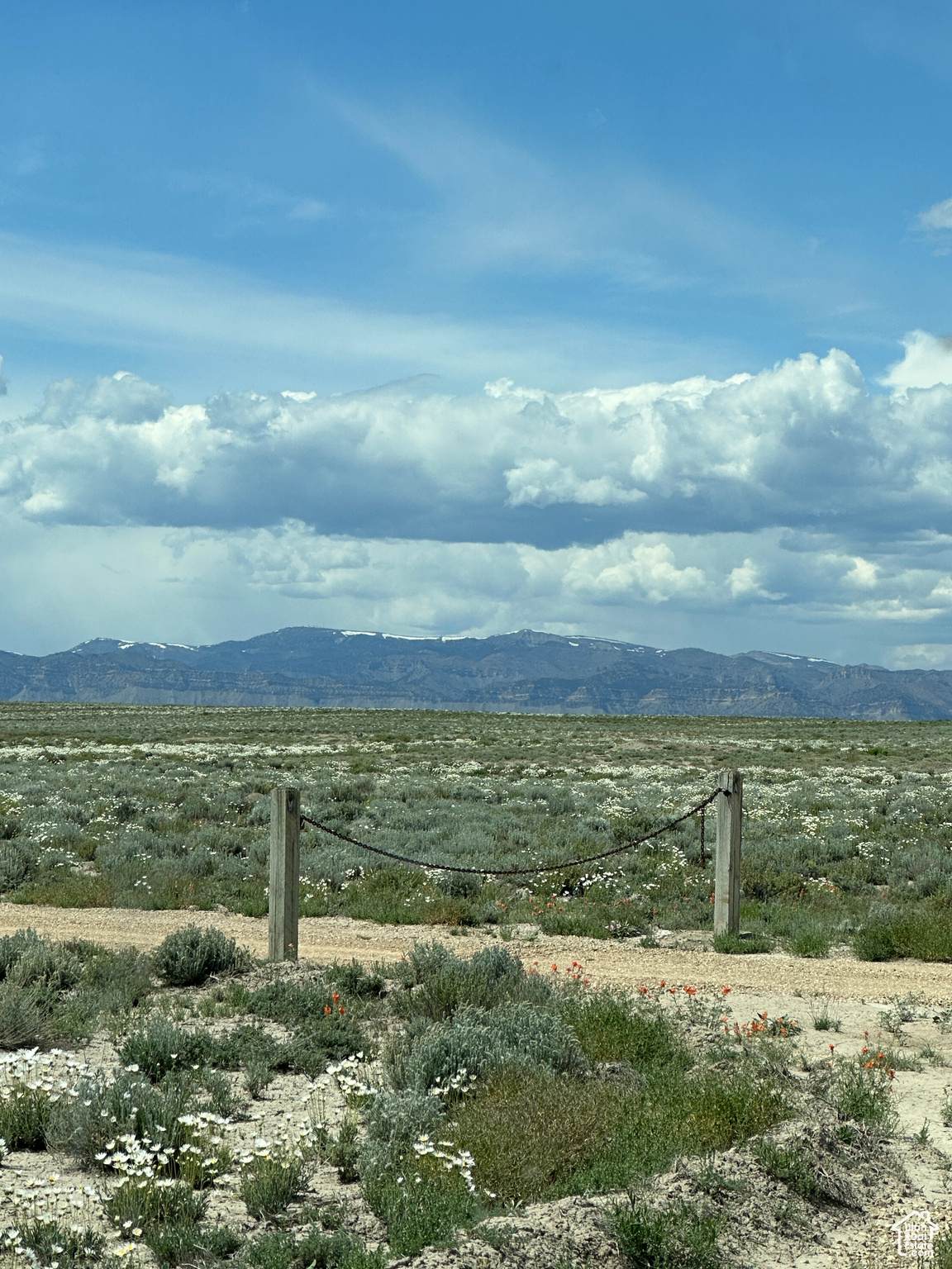 5850 100 - Photo 1
