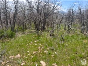 10 Spring Mountain Dr - Photo 1