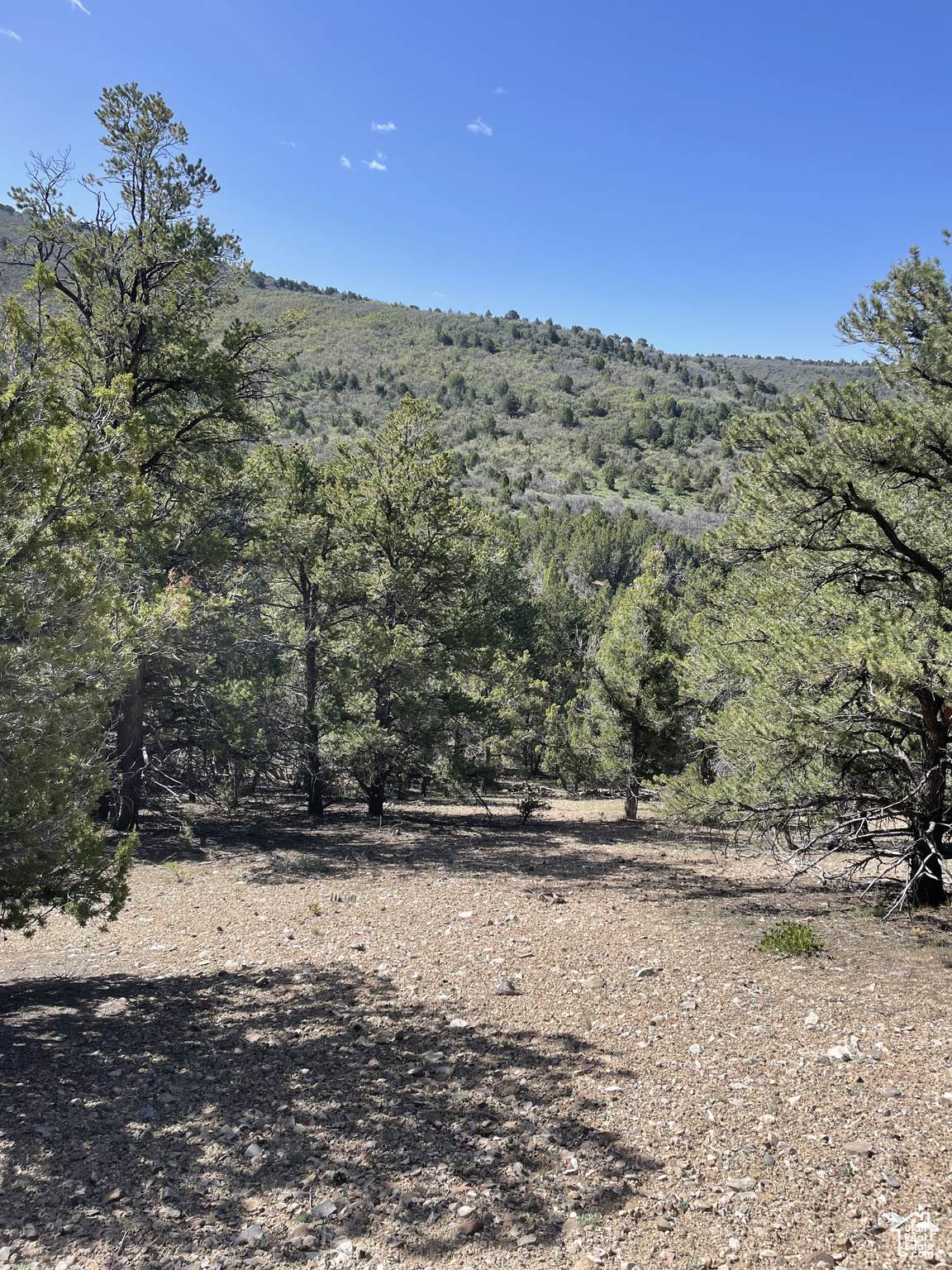 292 Highway 89 - Photo 1