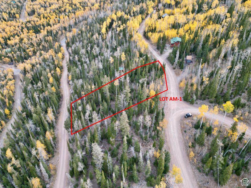 235 Snowman Dr - Photo 1