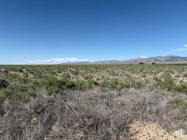 2000 Hwy 21 - Photo 1