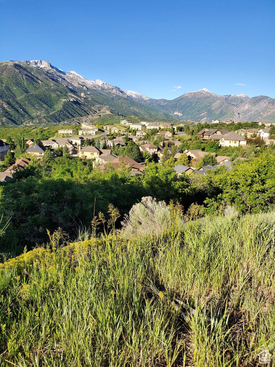 https://bt-photos.global.ssl.fastly.net/wasatch/orig_boomver_1_2092739-1.jpg