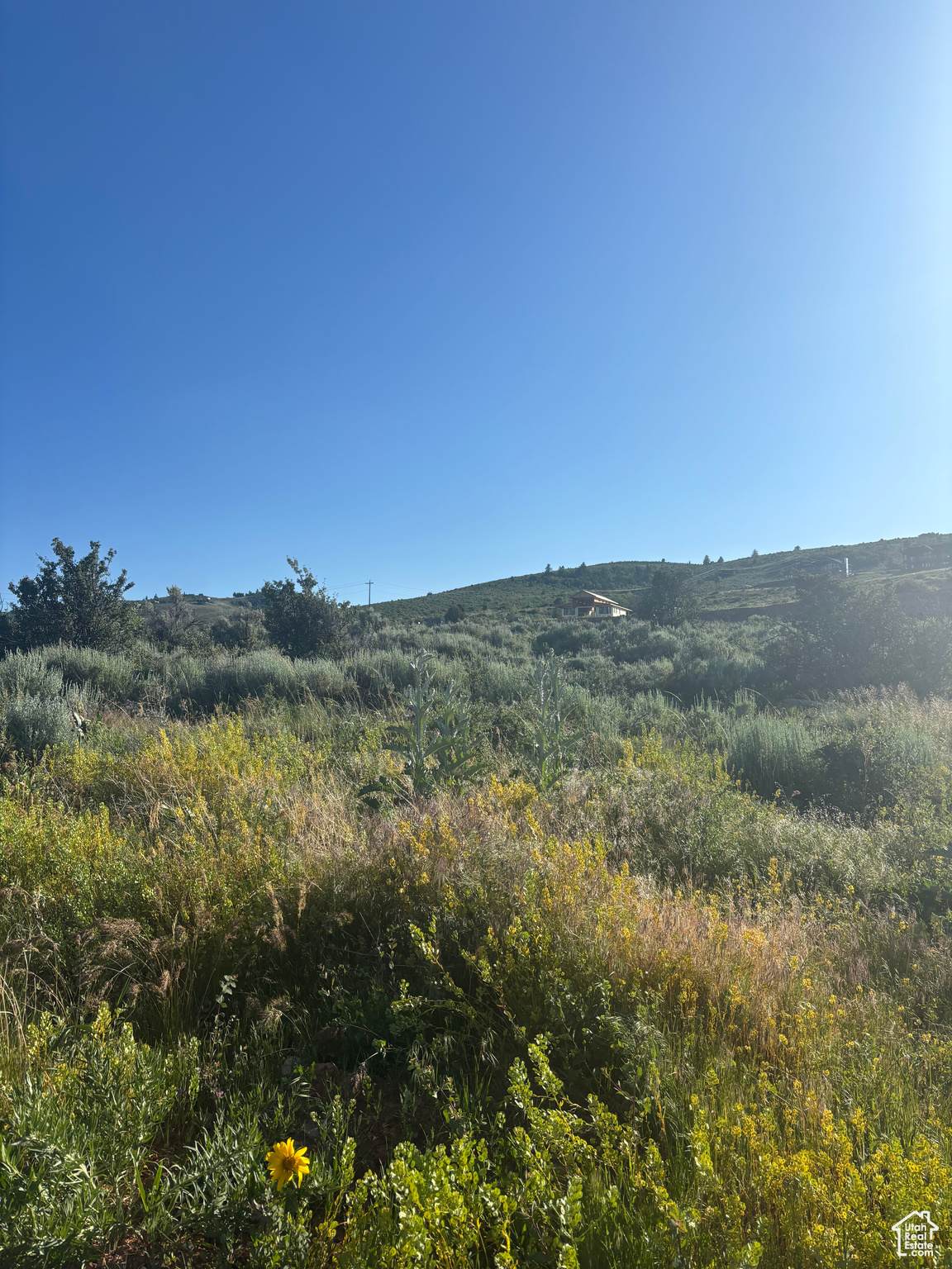 https://bt-photos.global.ssl.fastly.net/wasatch/orig_boomver_1_2096724-1.jpg