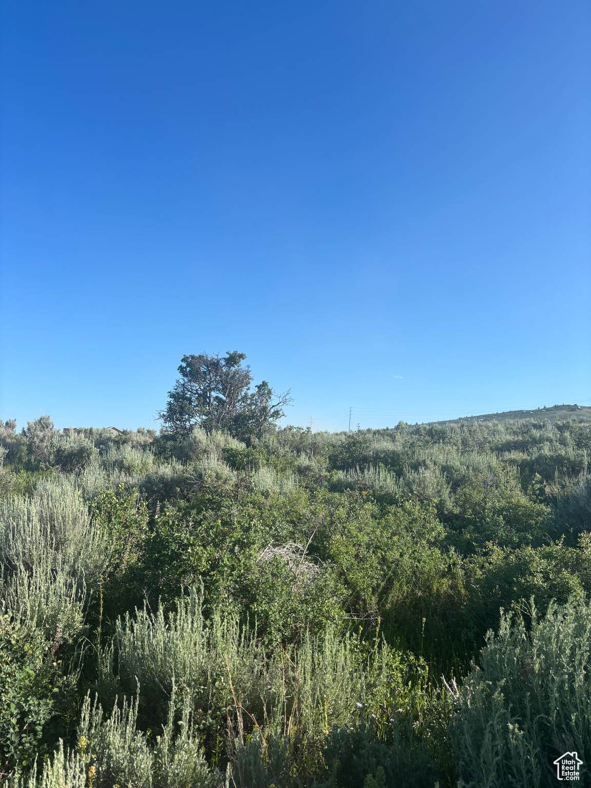 https://bt-photos.global.ssl.fastly.net/wasatch/orig_boomver_1_2096727-1.jpg