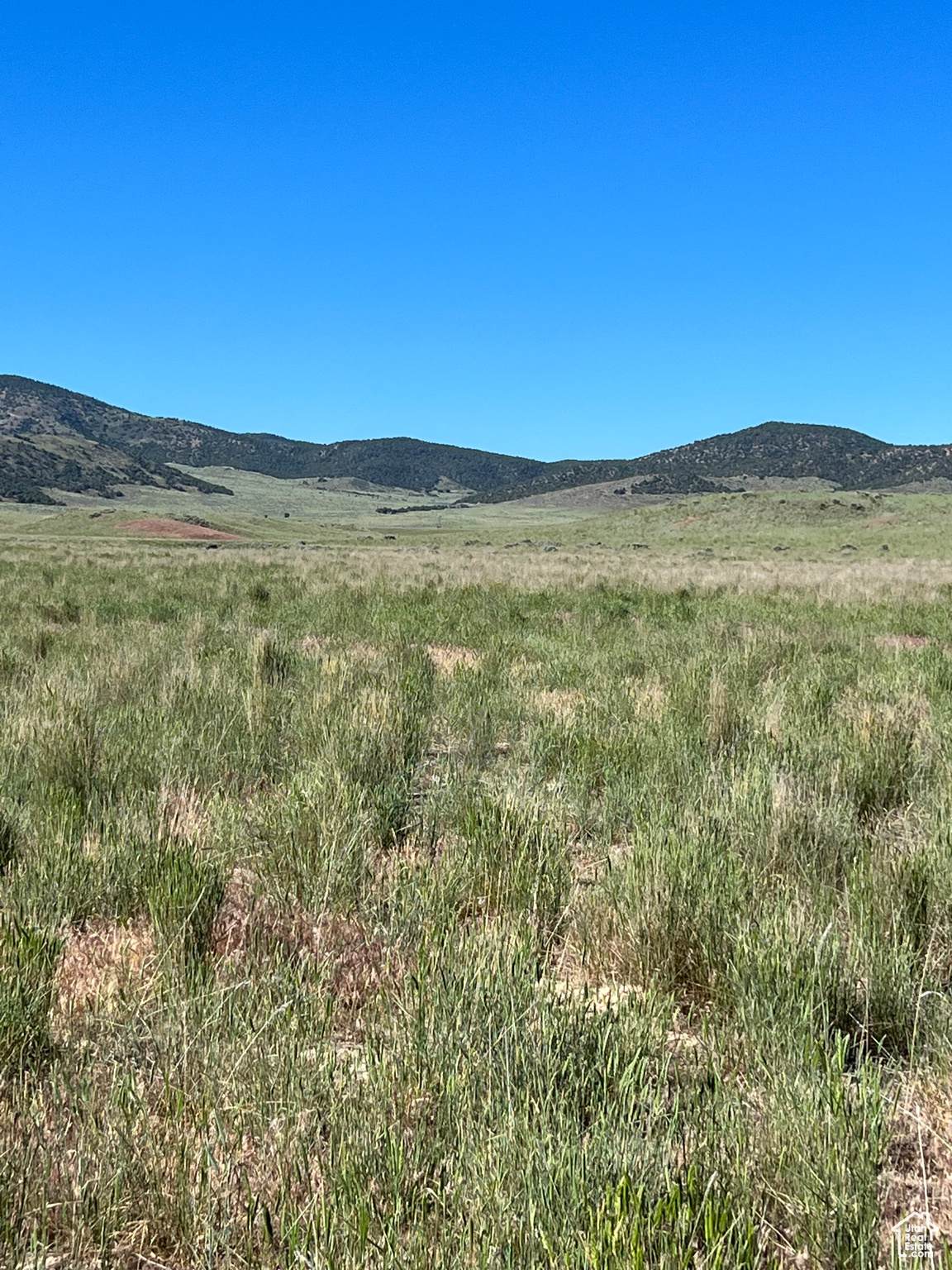  Address Not Published - Photo 1