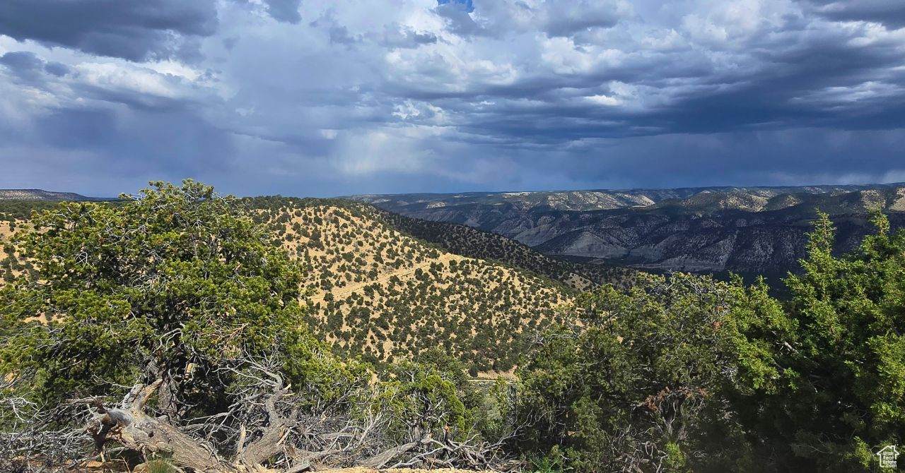  Address Not Published - Photo 1