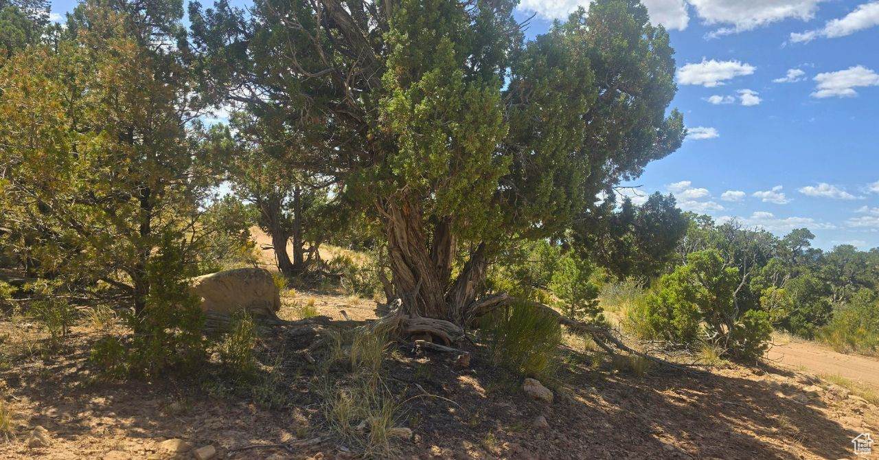 https://bt-photos.global.ssl.fastly.net/wasatch/orig_boomver_1_2105661-1.jpg