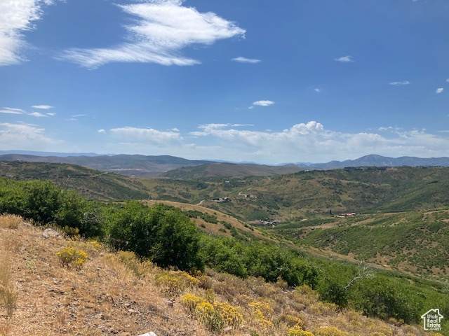 15 Kent Cyn - Photo 1