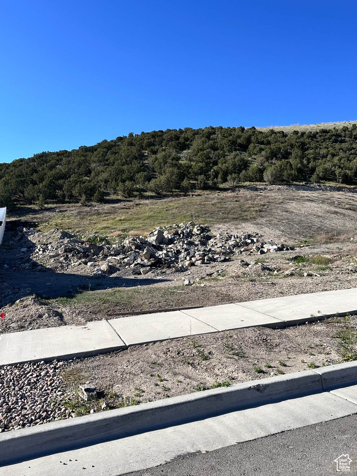 3584 Owahee St - Photo 1