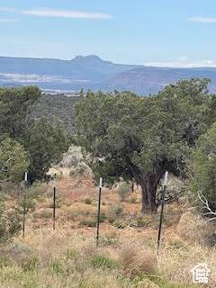 17 Avikan Dr - Photo 1