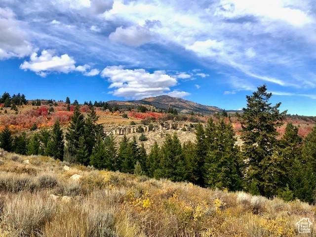 1745 Cedar Ridge Dr - Photo 1