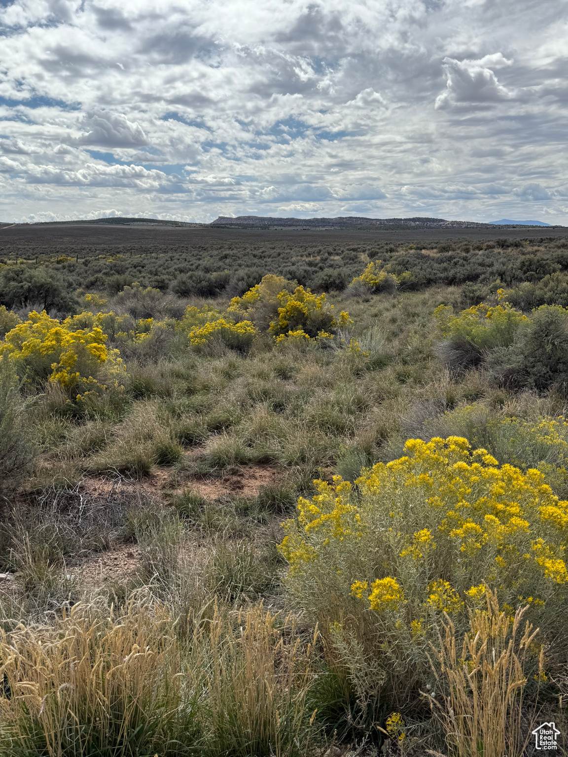  Address Not Published - Photo 1