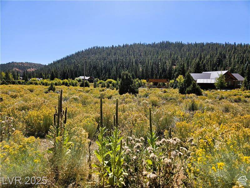 https://bt-photos.global.ssl.fastly.net/wasatch/orig_boomver_1_2114140-1.jpg