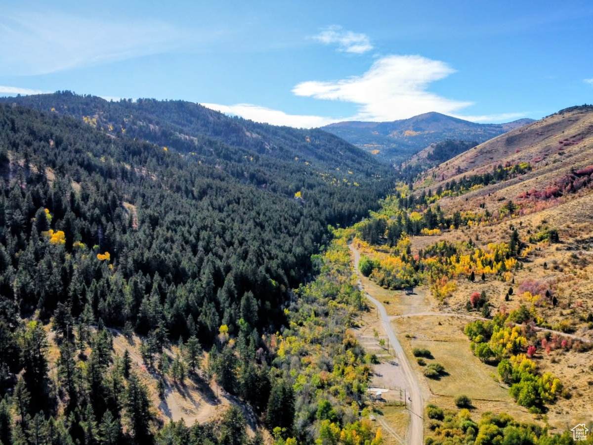 22 Skinner Canyon Rd - Photo 1