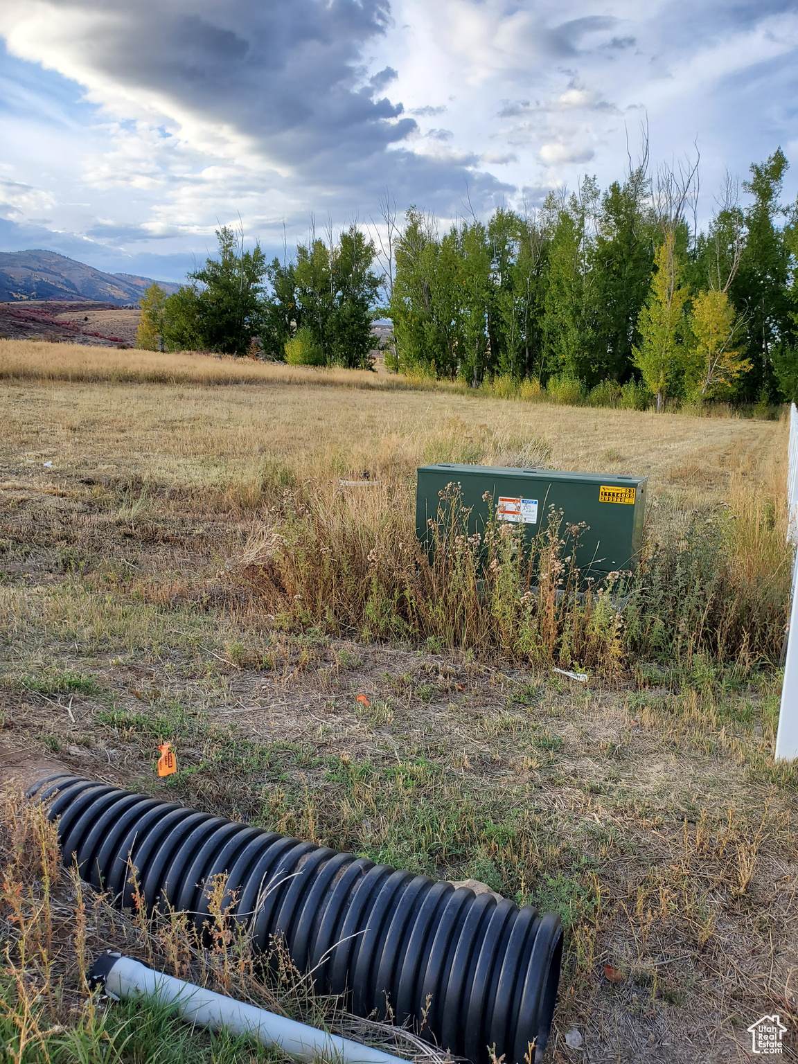 305 Buttercup Ln - Photo 1