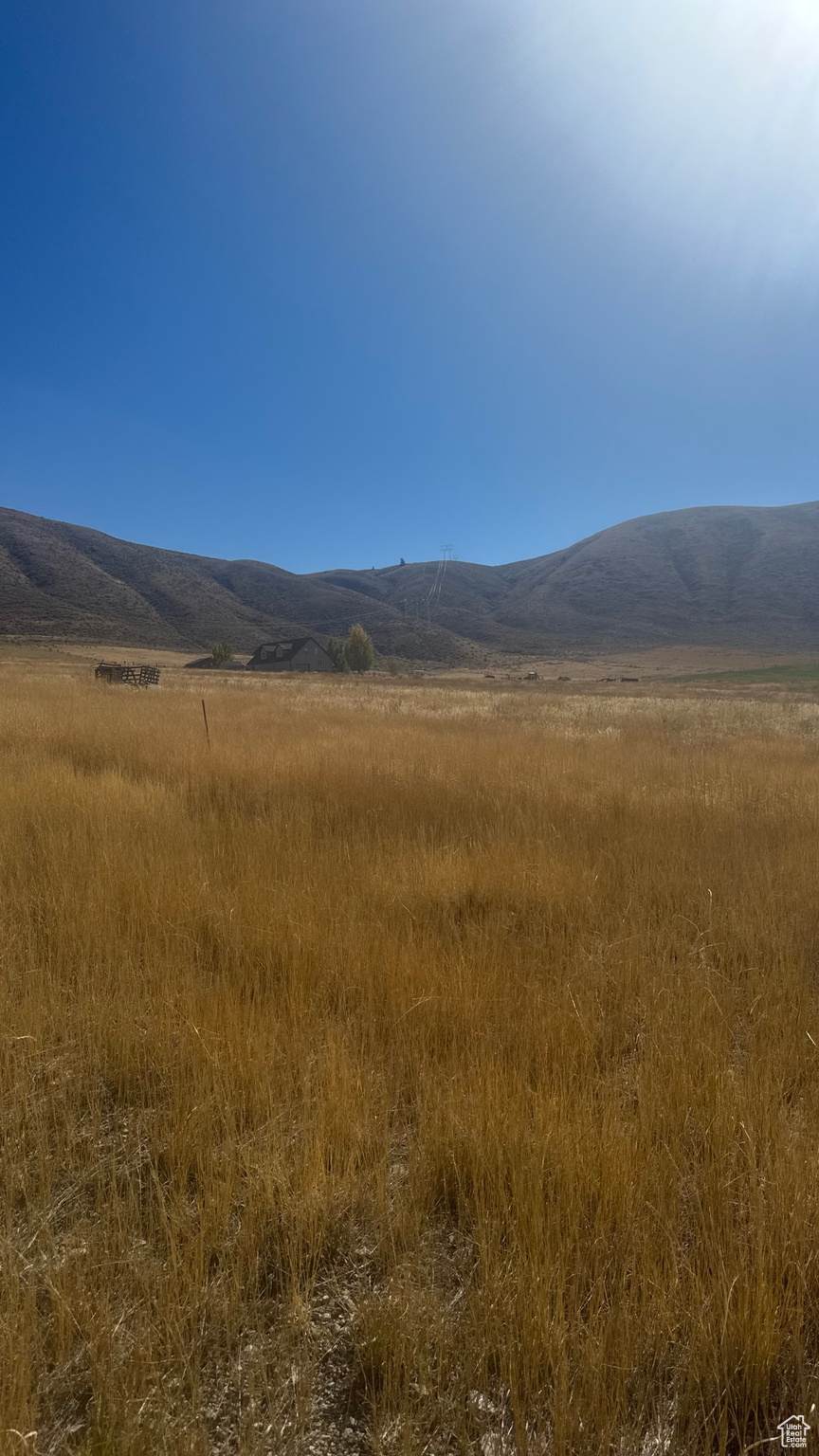 1292 Moose Loop - Photo 1