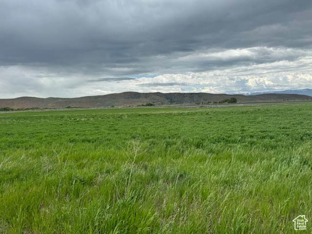 3200 4400 - Photo 1