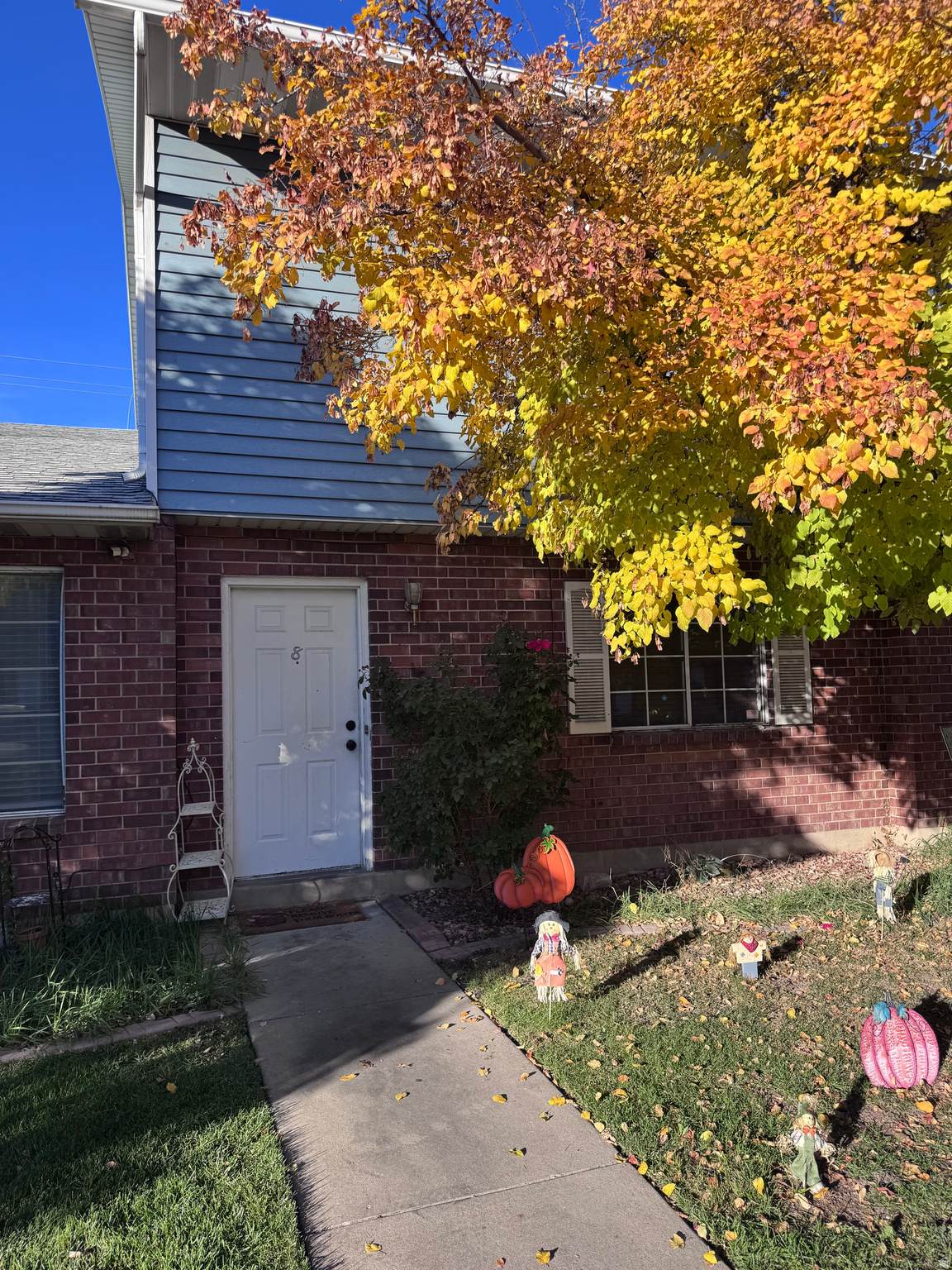 933 Freedom #8 Blvd - Photo 1