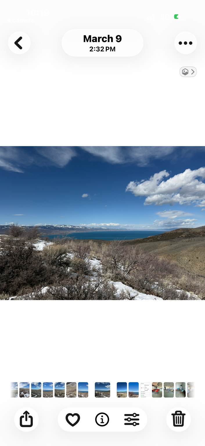 113 Otter Creek Road Rd - Photo 1