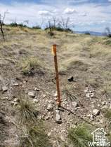  Address Not Published - Photo 8