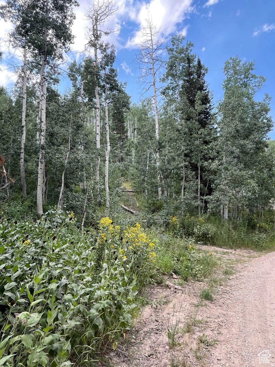 2102 Uintah View Dr - Photo 1