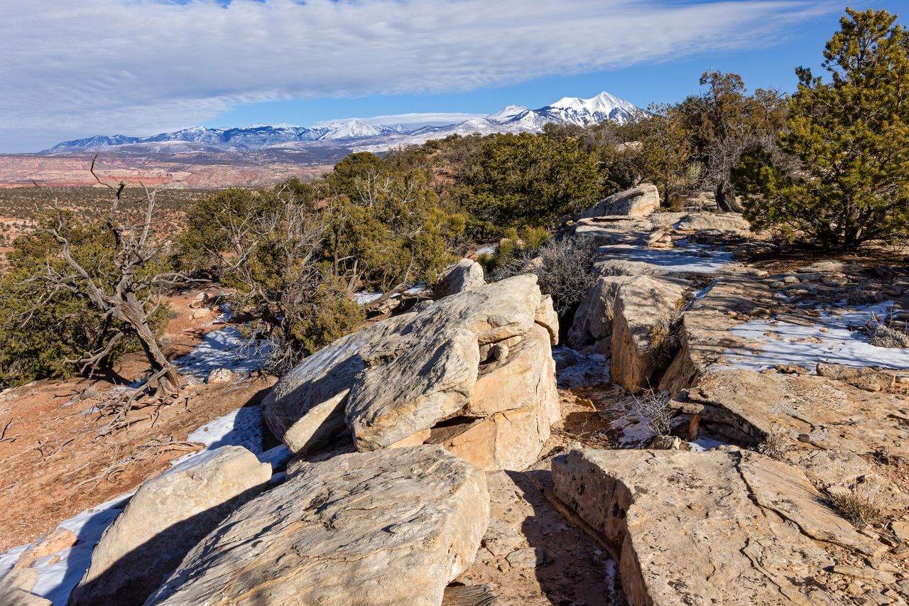 12 Pritchett Arch Trl - Photo 1