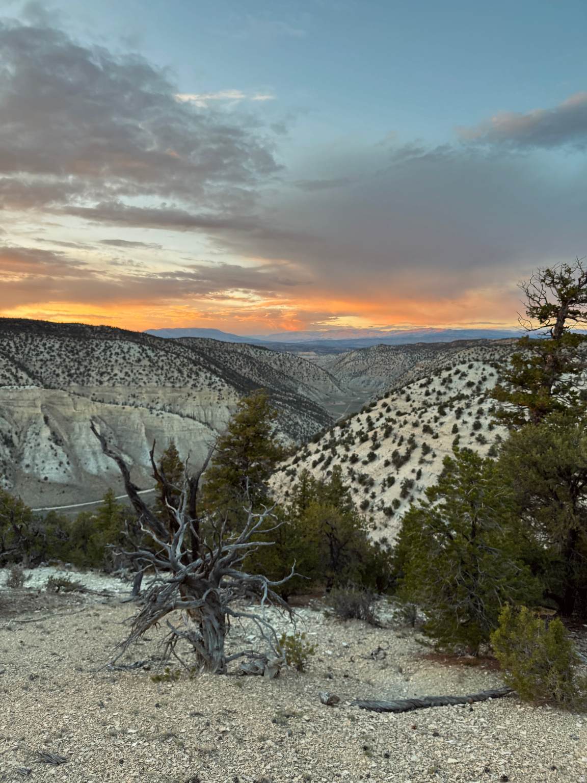https://bt-photos.global.ssl.fastly.net/wasatch/1280_boomver_1_2139311-1.jpg