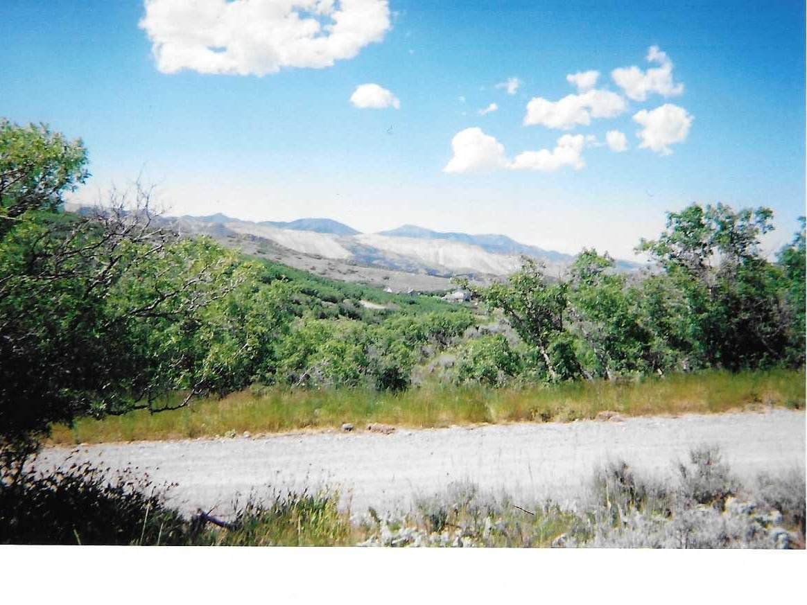 https://bt-photos.global.ssl.fastly.net/wasatch/orig_boomver_1_2139660-1.jpg