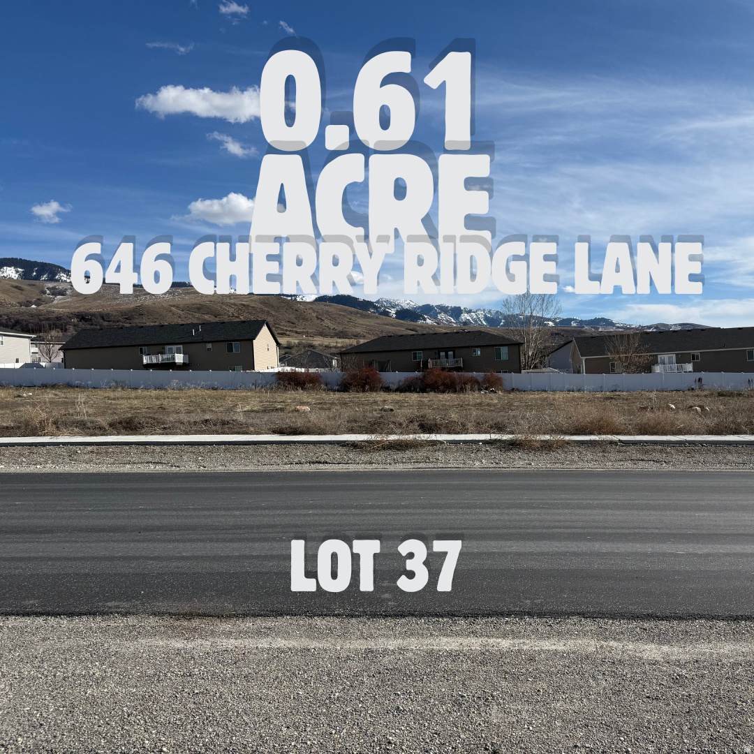 646 Cherry Ridge Ln - Photo 1