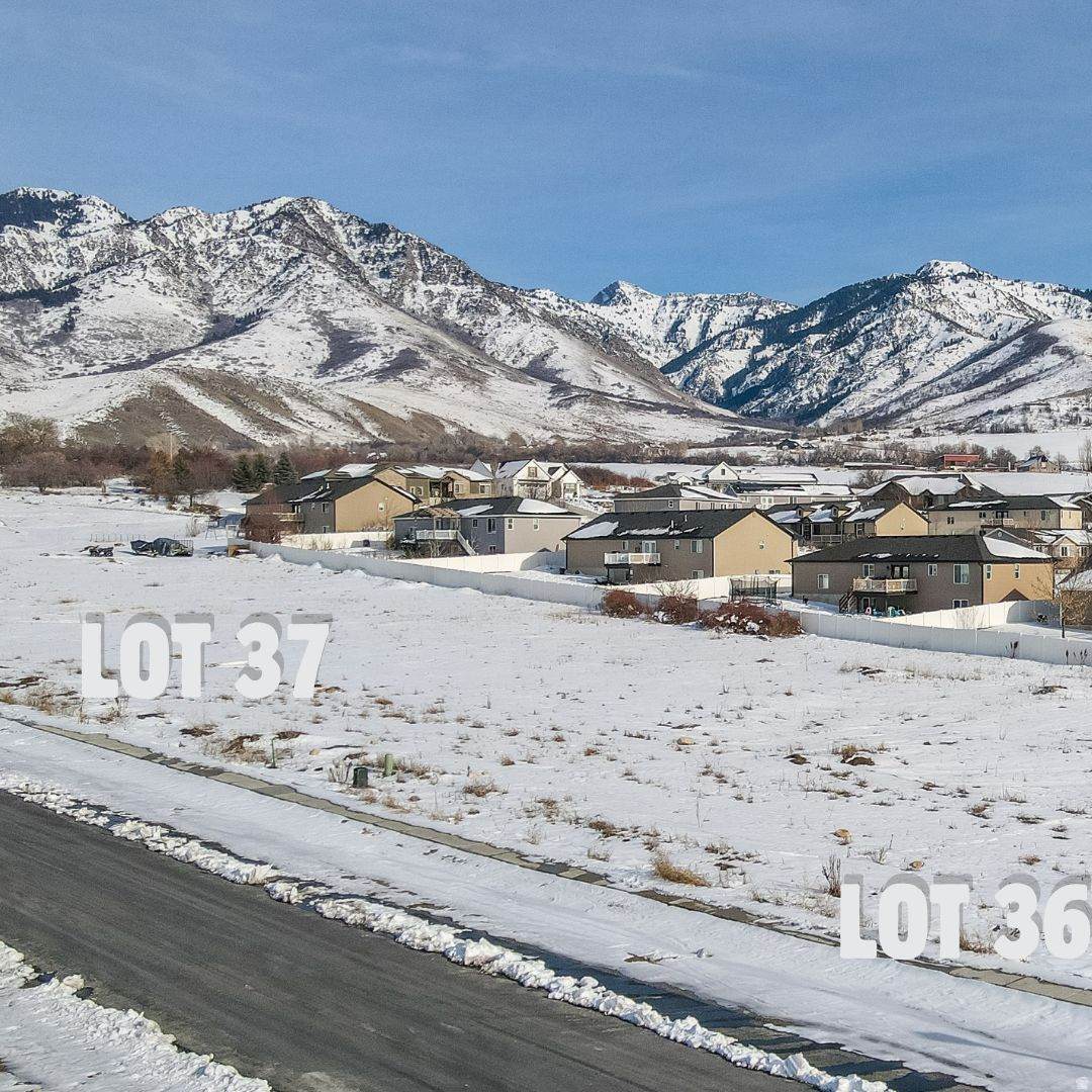 https://bt-photos.global.ssl.fastly.net/wasatch/orig_boomver_1_2140067-1.jpg