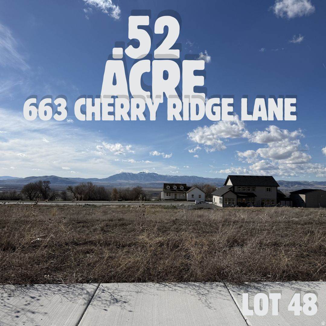 663 Cherry Ridge Ln - Photo 1