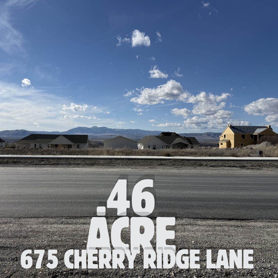 675 Cherry Ridge Ln - Photo 1