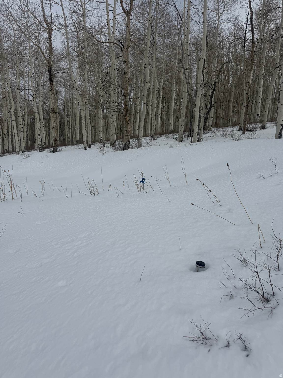 https://bt-photos.global.ssl.fastly.net/wasatch/1280_boomver_1_2144284-1.jpg