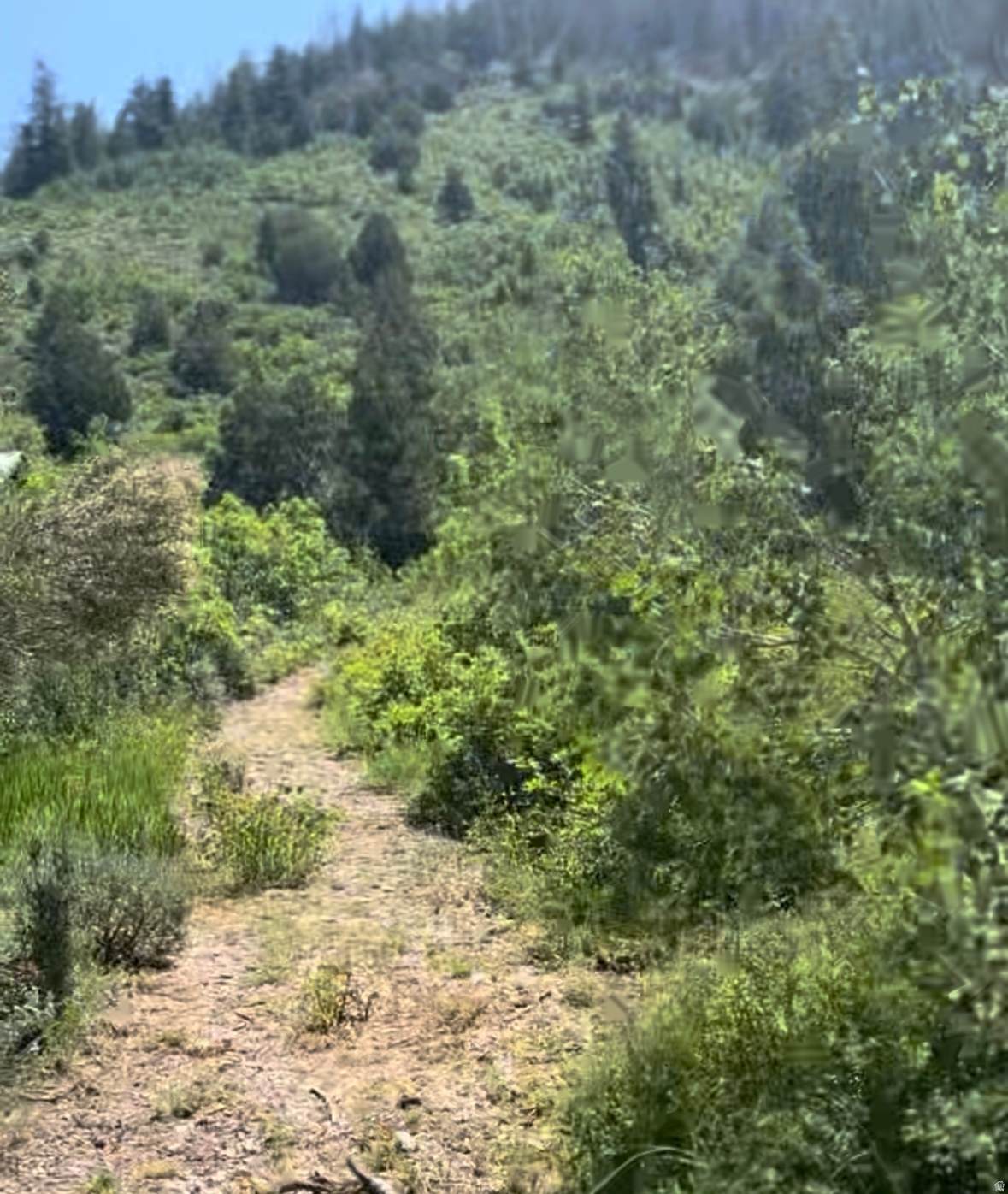 424 Beaver Creek Rd Hls - Photo 1