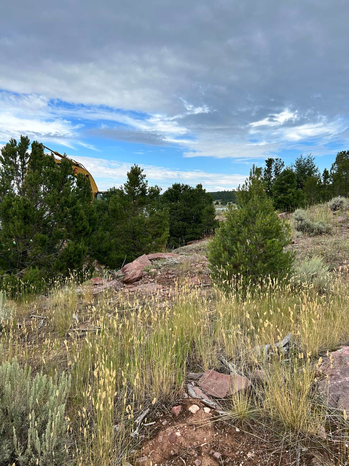 102 Kestrel Cir - Photo 1