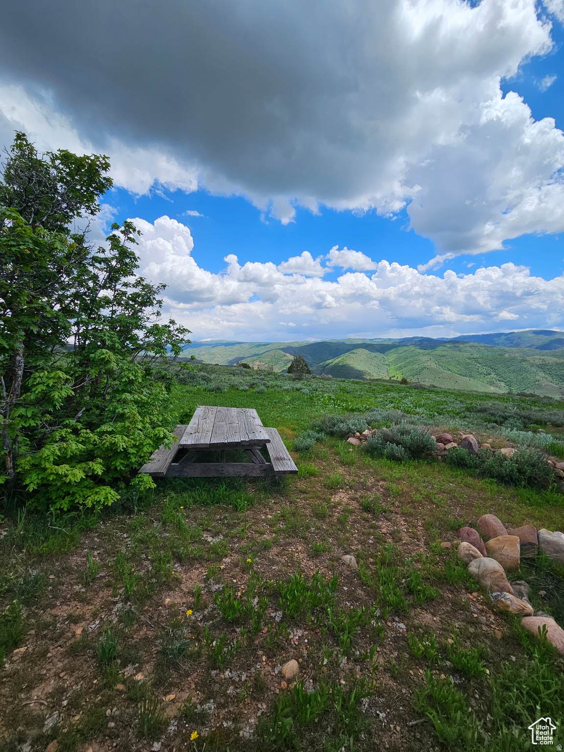 https://bt-photos.global.ssl.fastly.net/wasatch/orig_boomver_1_2146608-1.jpg